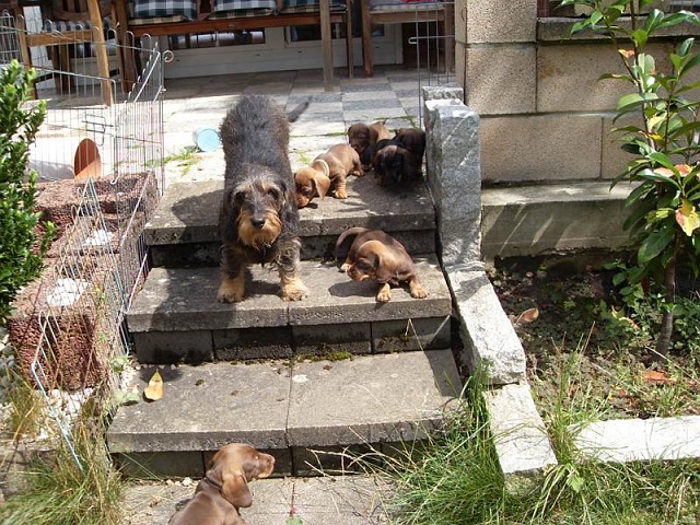 Welpen 23.08.2019 - 1192