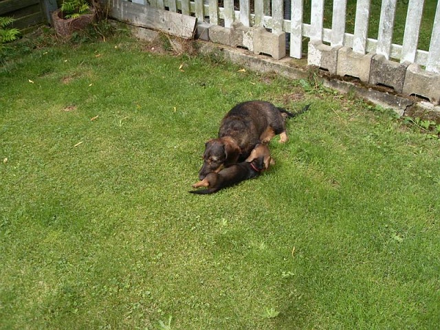 Welpen 23.08.2019 - 1205